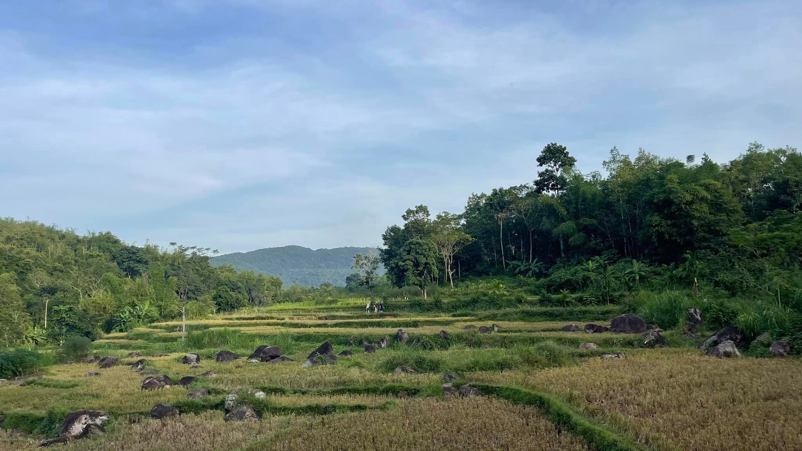 Explore Vietnam’s Rice Terraces by Bike: A Scenic Cycling Adventure Through the Highlands